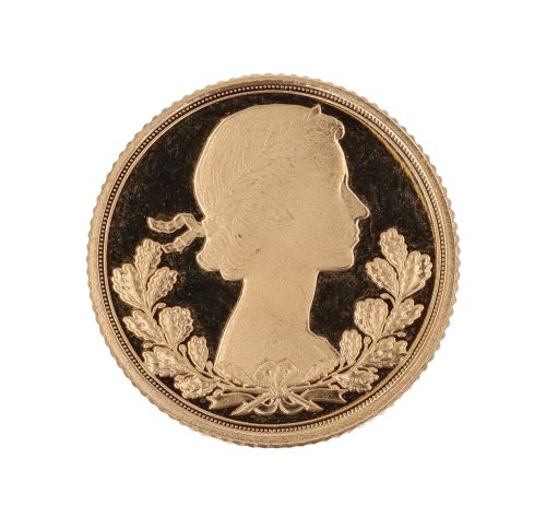 2022 Elizabeth II Half Sovereign Coin