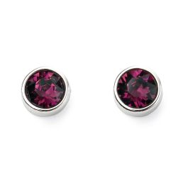 February Birthstone Earrings - Sterling Silver