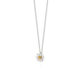 Daisy Michaelmas Daisy Necklace - Silver